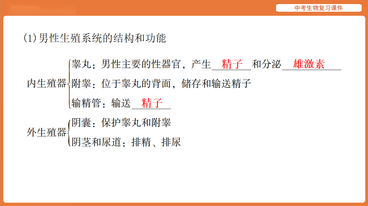 17895410第3页