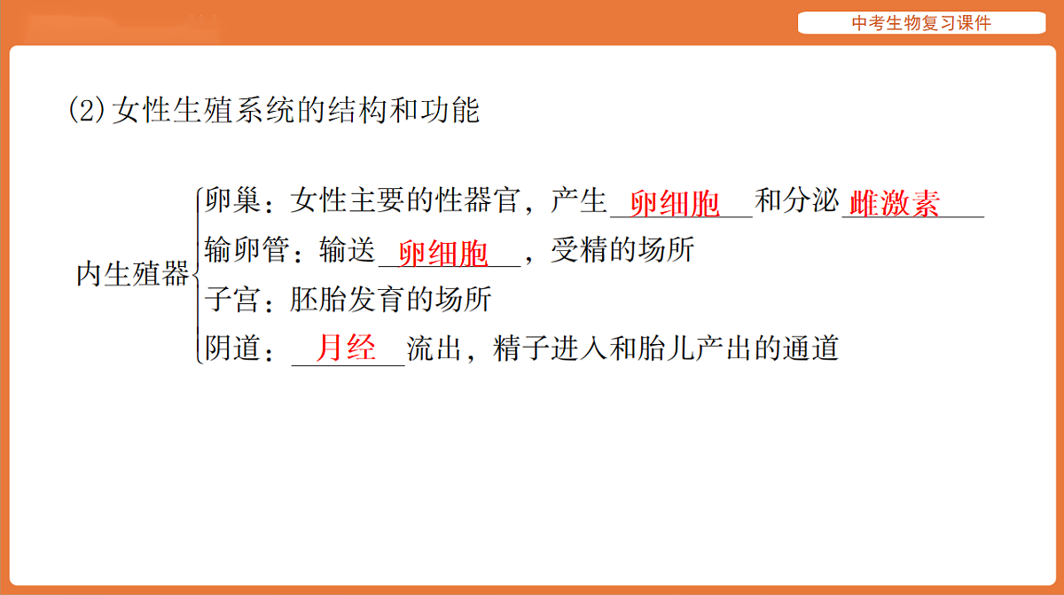 17895410第4页
