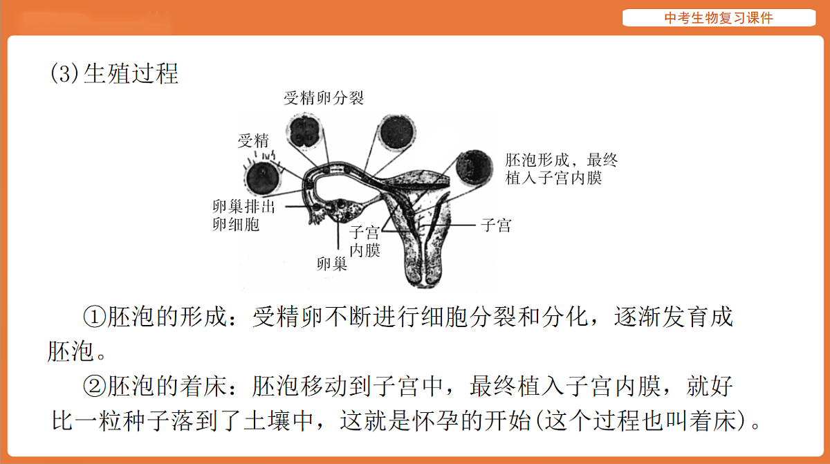 17895410第5页