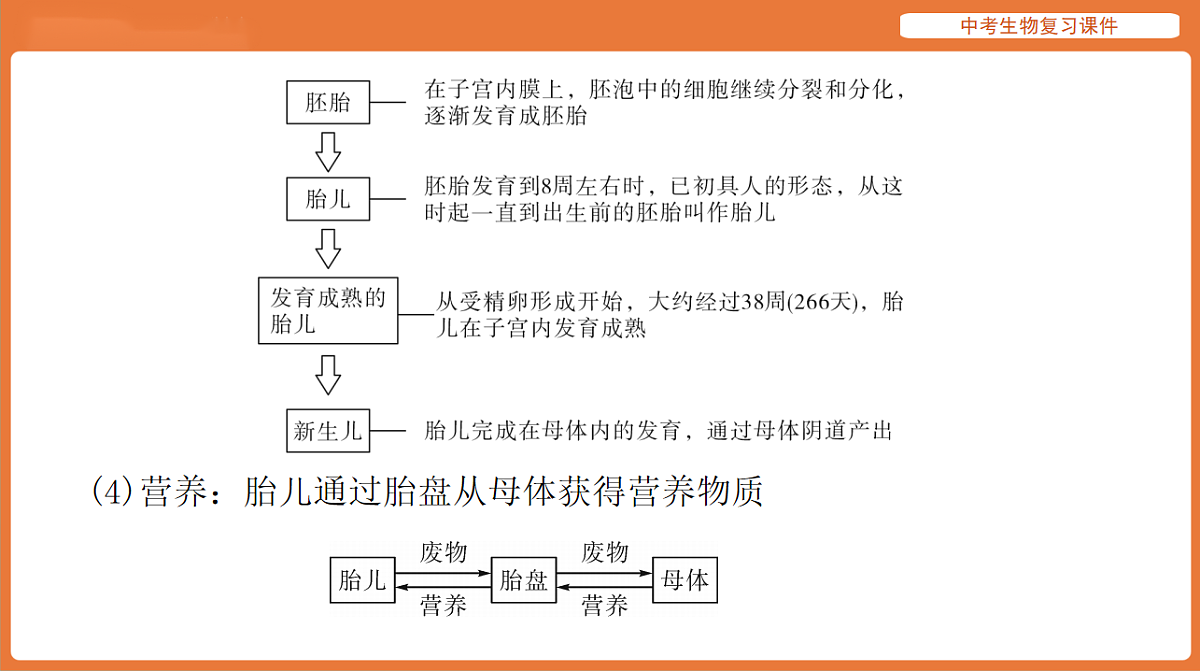17895410第6页