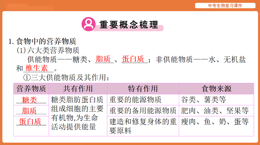 17895411第2页