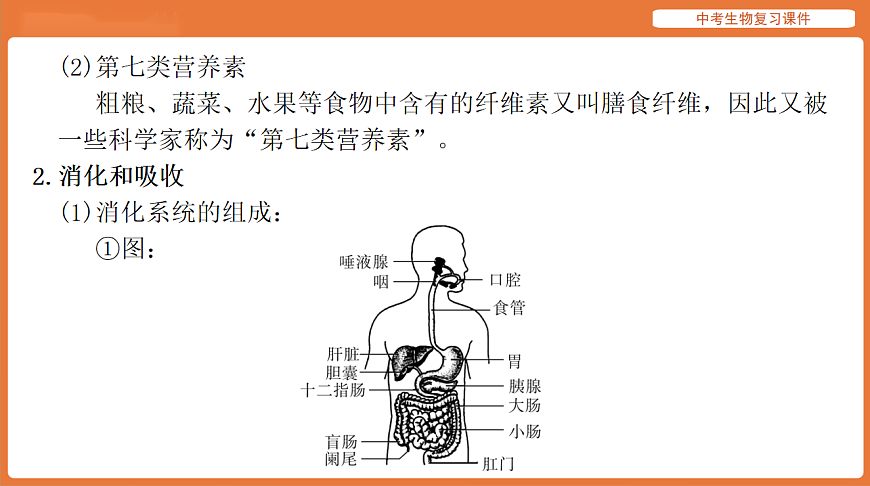 17895411第6页