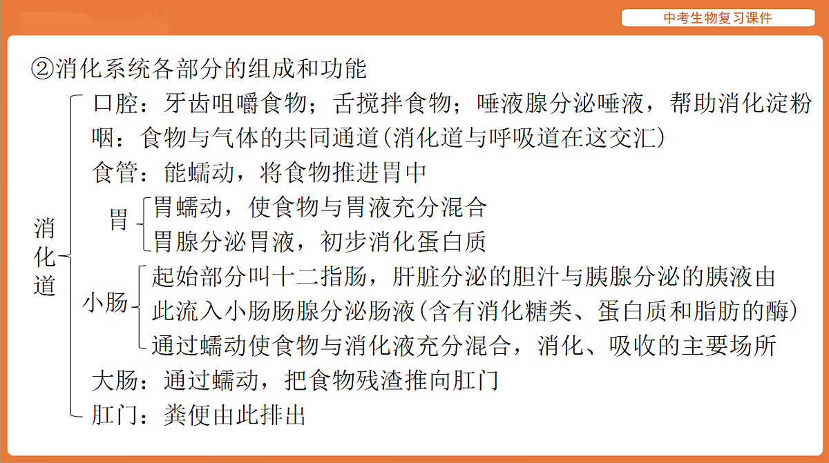 17895411第7页