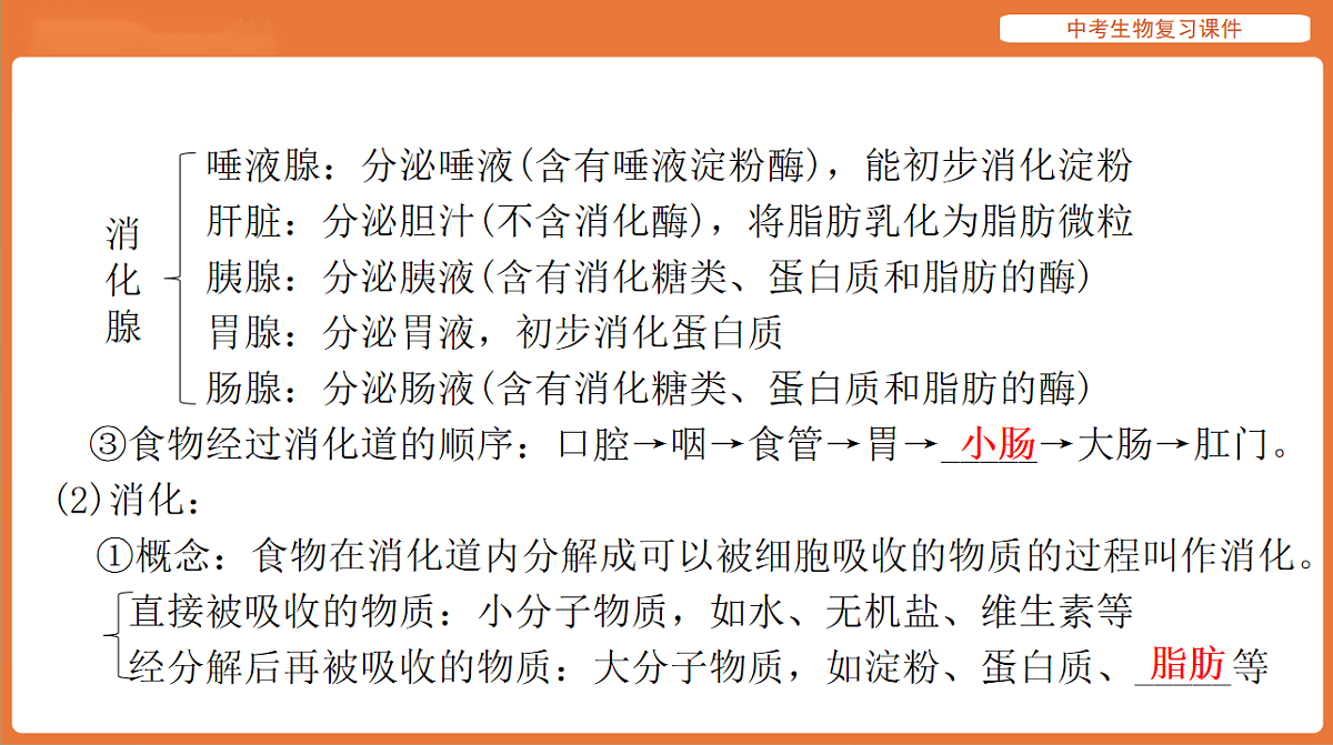 17895411第8页