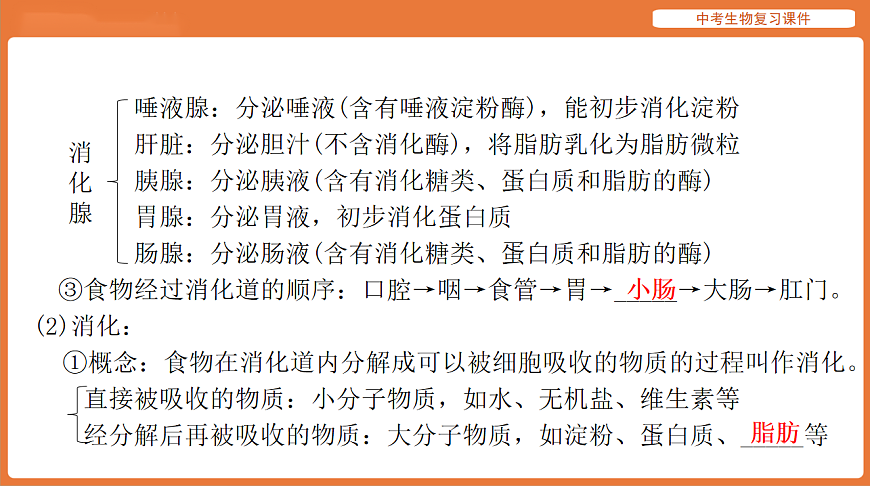 17895411第8页