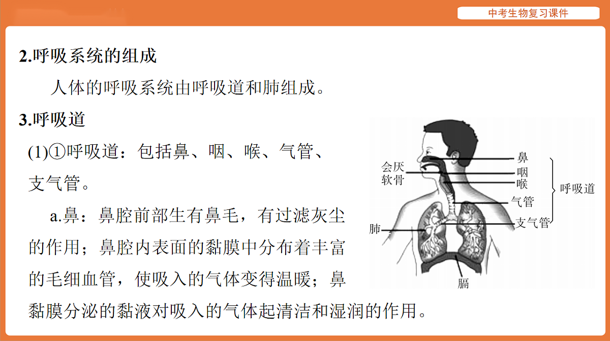 17895412第3页