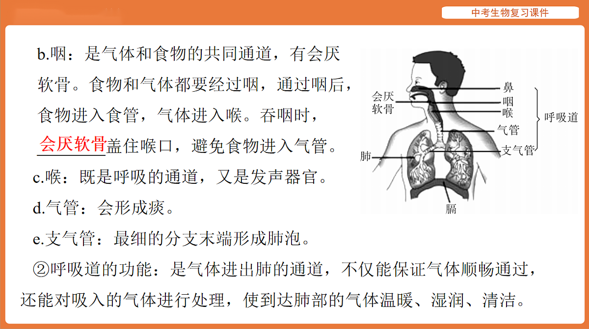 17895412第4页