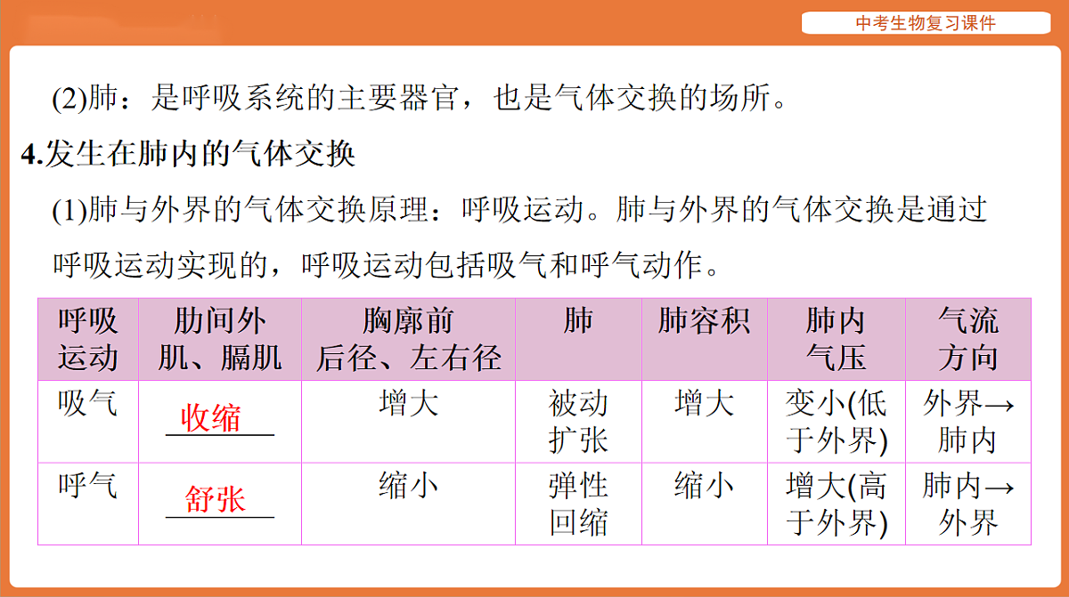 17895412第5页