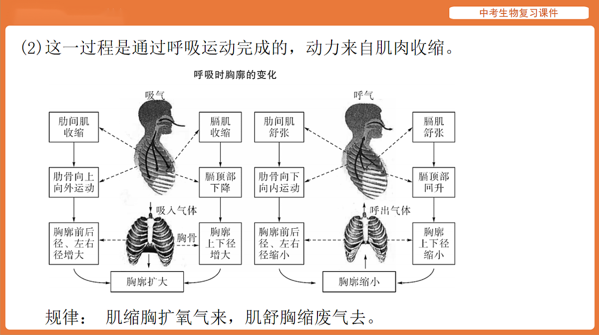 17895412第6页