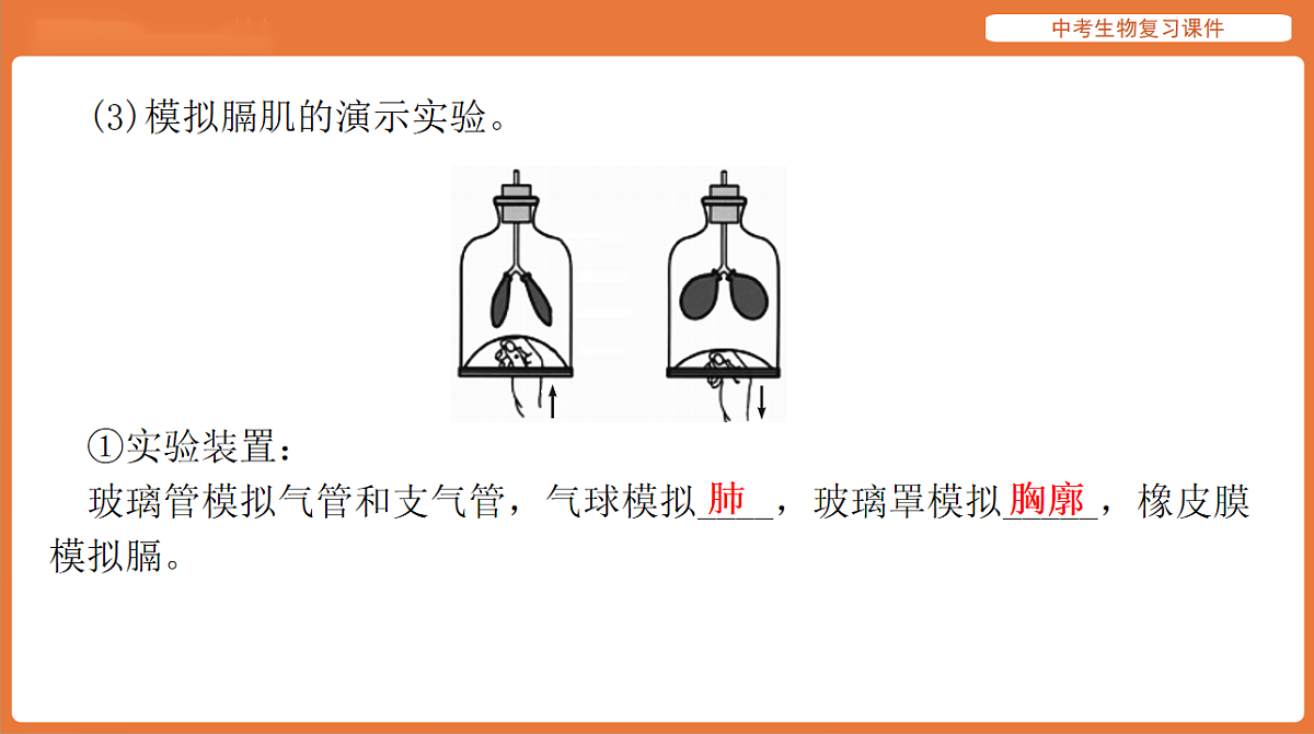 17895412第7页
