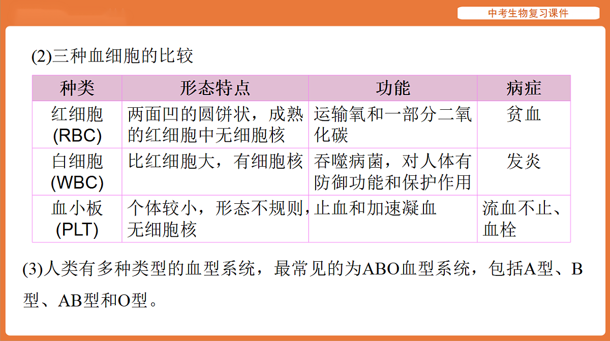 17895413第3页