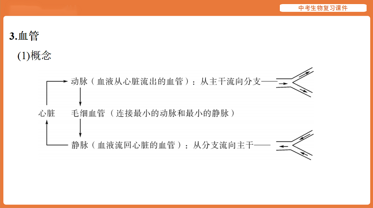 17895413第4页
