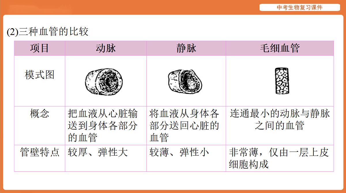 17895413第5页