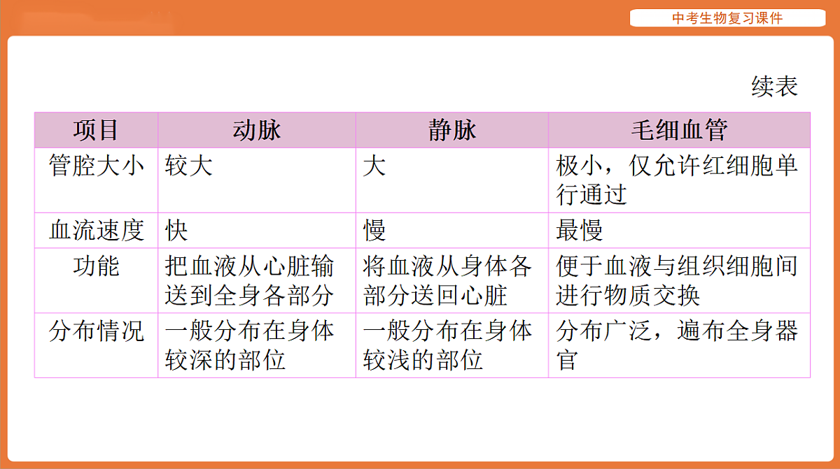 17895413第6页