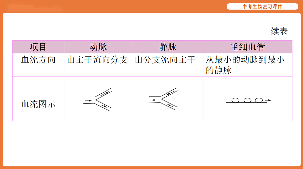 17895413第7页