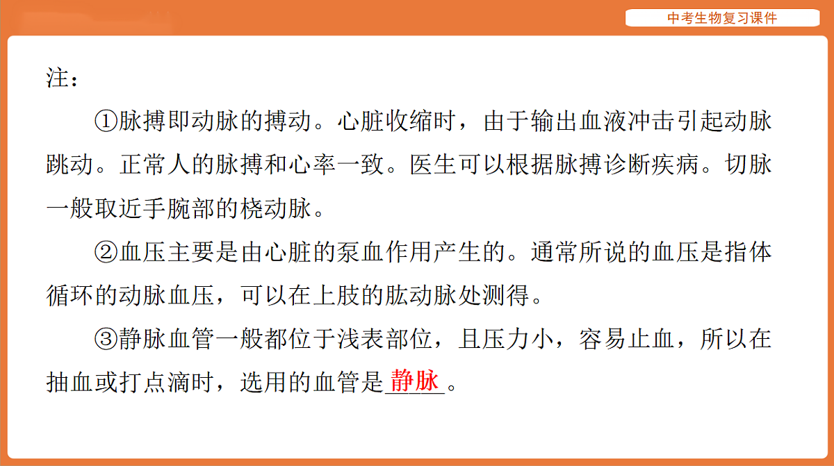 17895413第8页