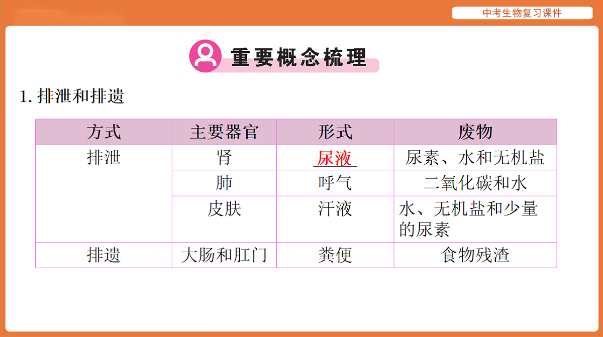 17895414第2页