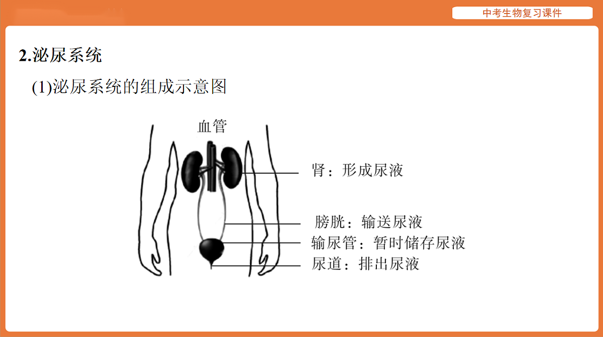 17895414第3页