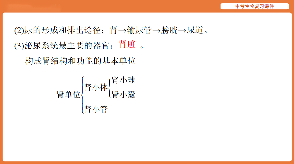 17895414第4页