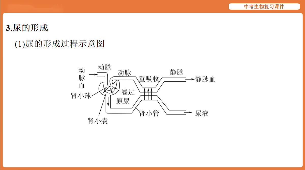17895414第5页