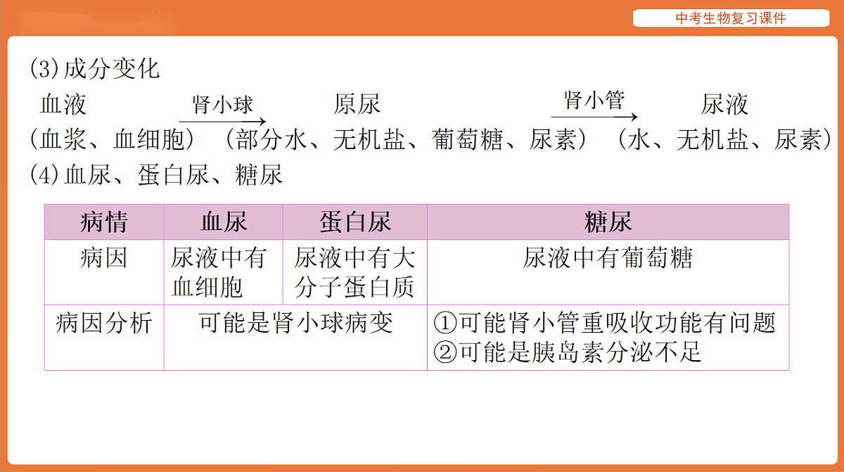 17895414第7页