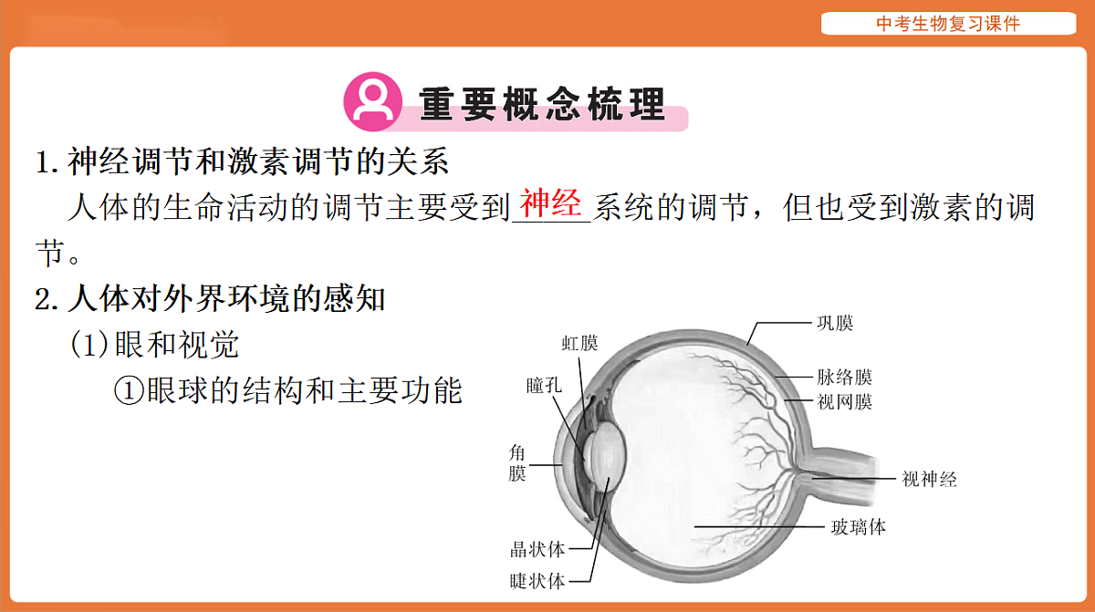17895415第3页
