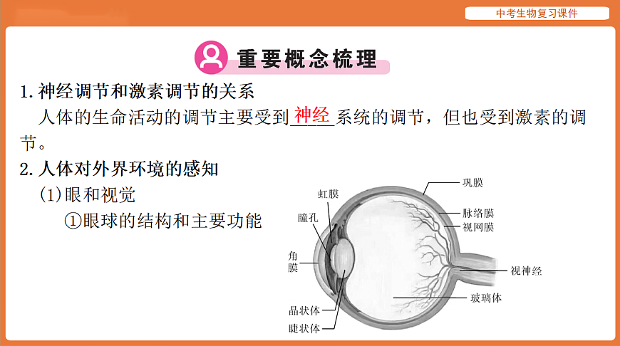 17895415第3页