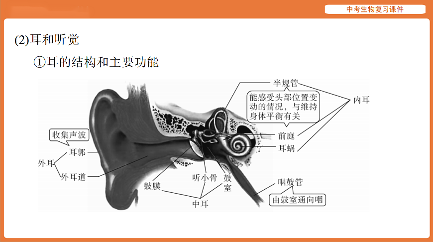 17895415第6页