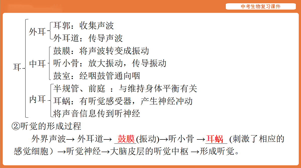17895415第7页