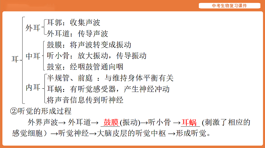 17895415第7页