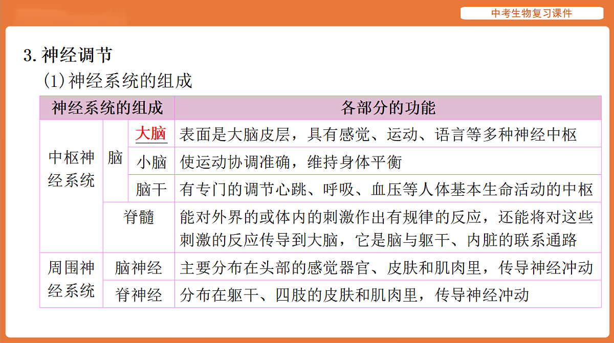17895415第8页