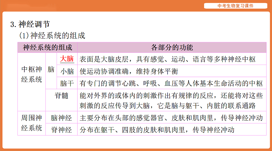 17895415第8页