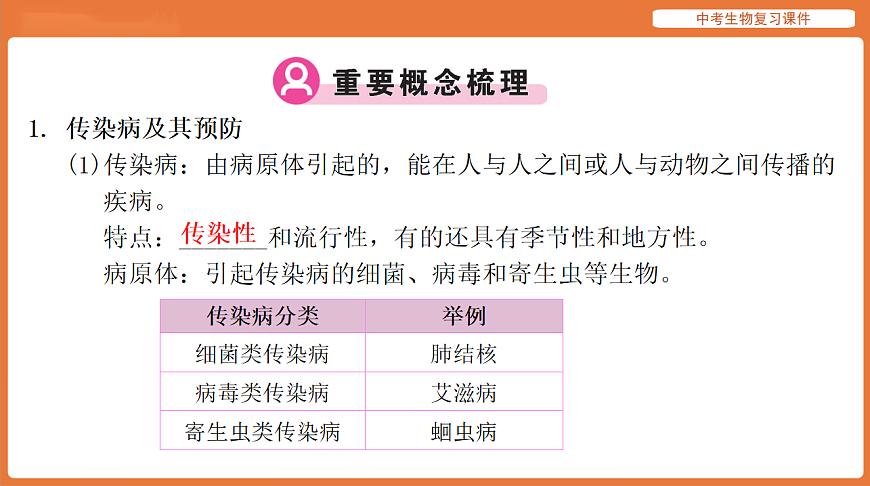 17895416第3页