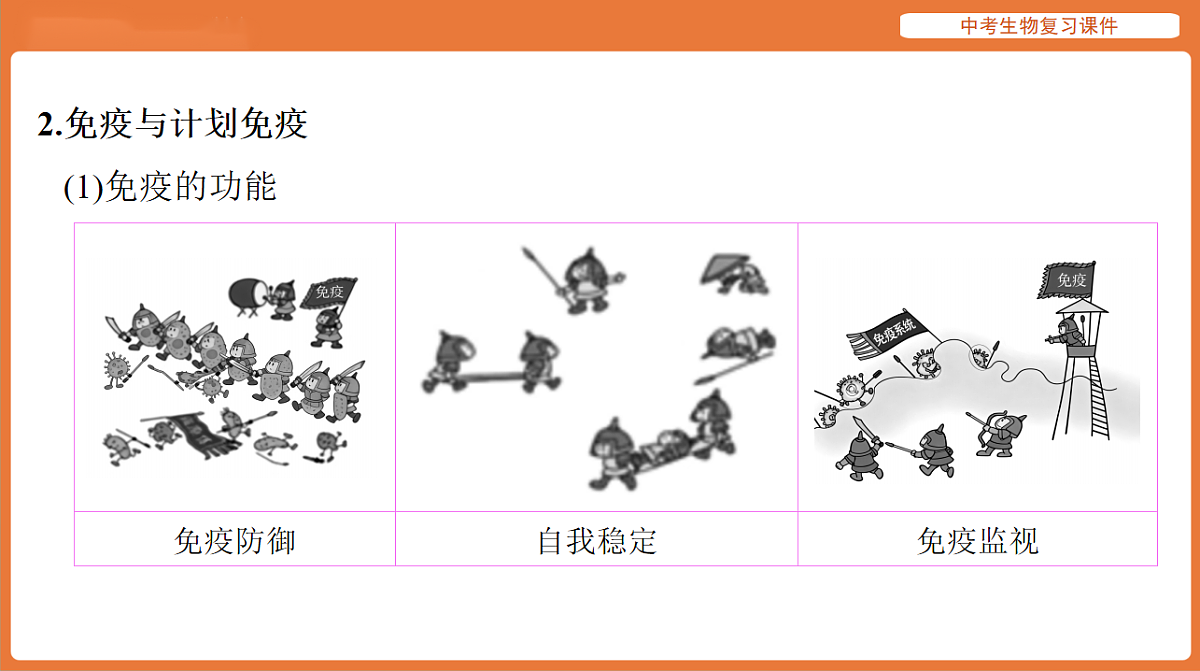 17895416第7页