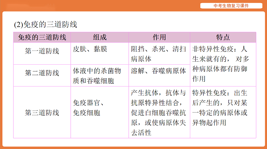 17895416第8页