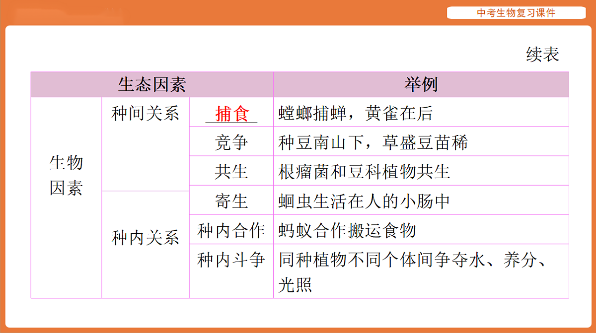 17895417第4页