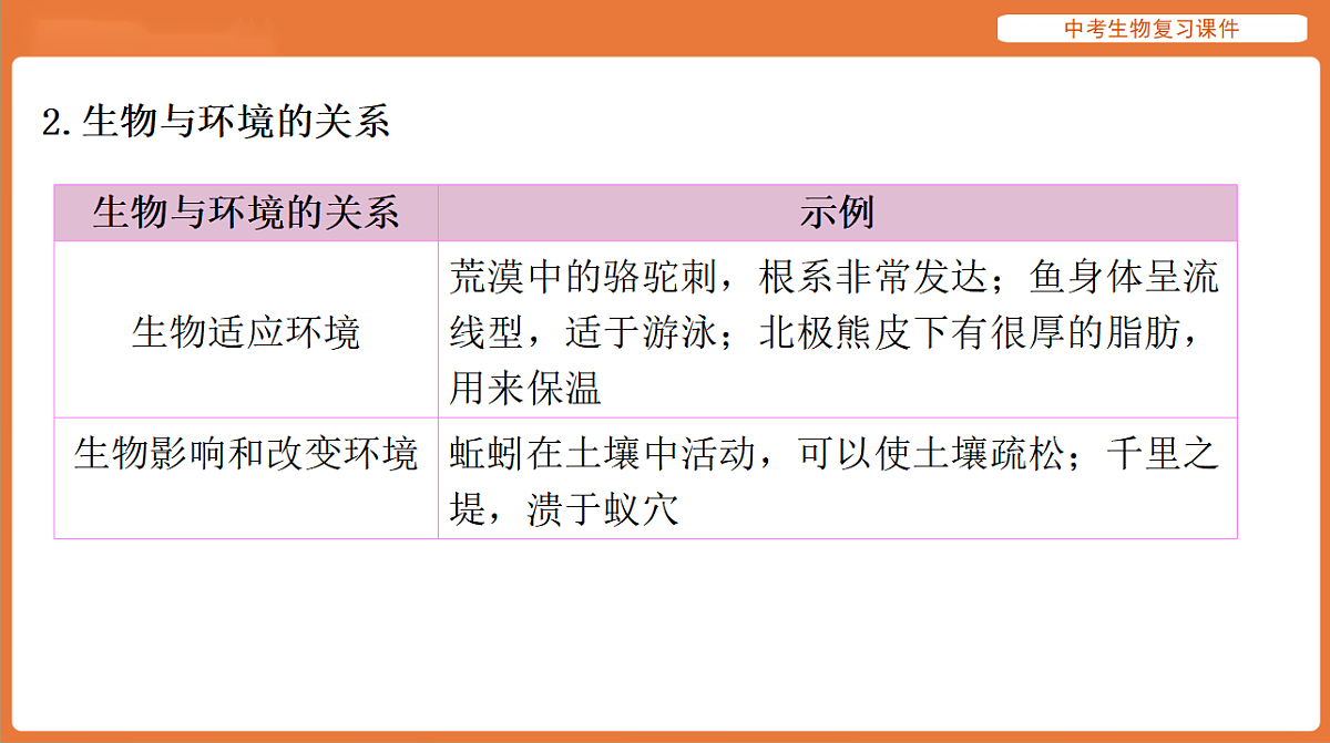 17895417第5页