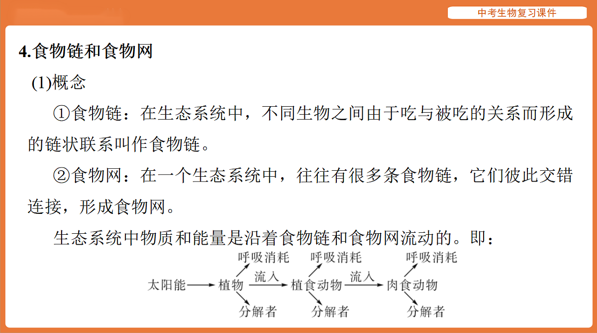 17895417第7页