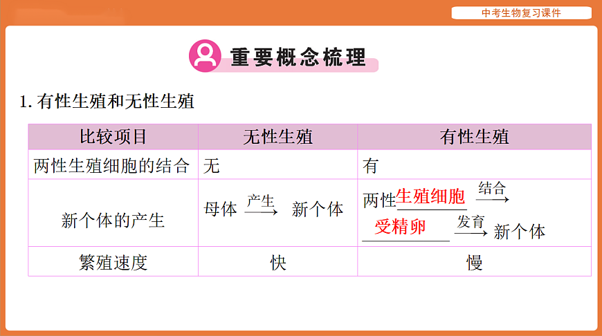 17895419第3页