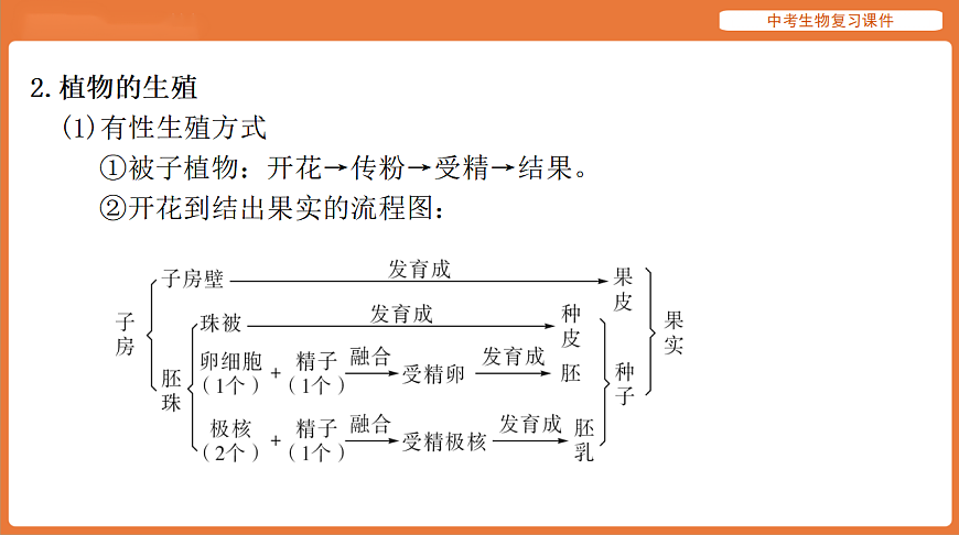 17895419第5页