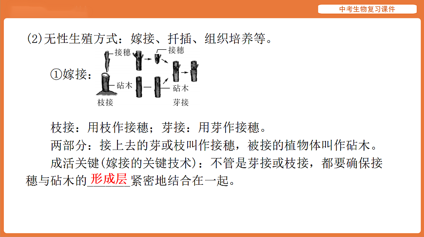 17895419第6页