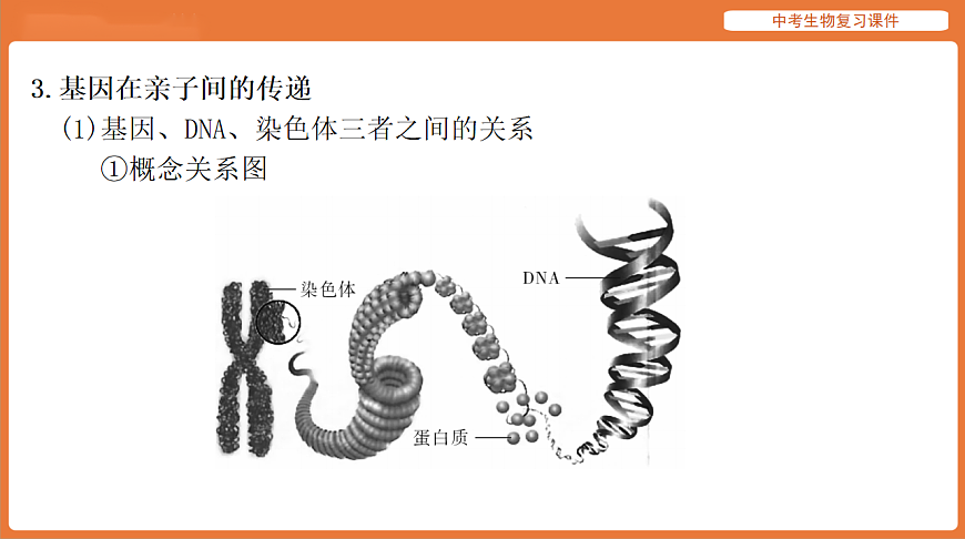 17895420第5页