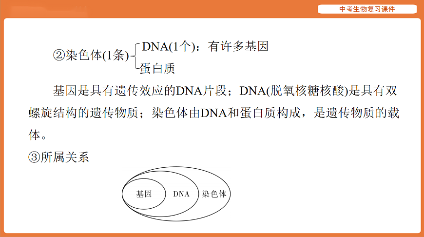 17895420第6页