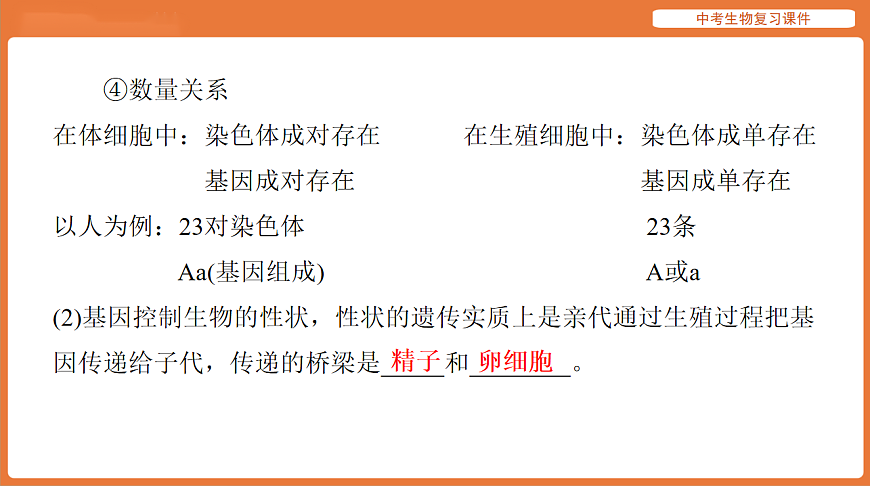 17895420第7页