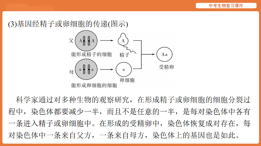 17895420第8页
