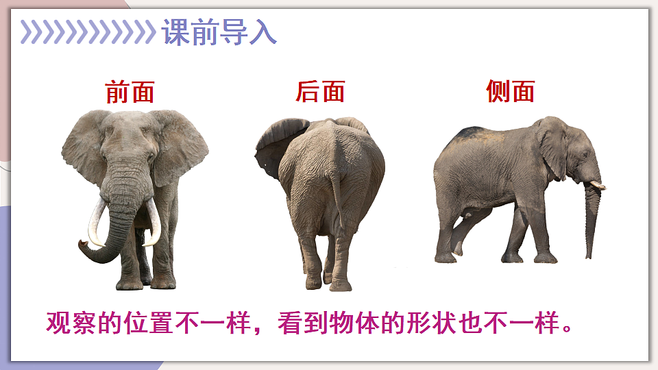 17895430第2页