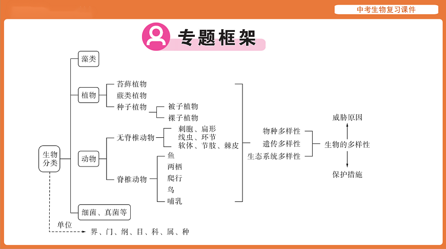 17895475第2页