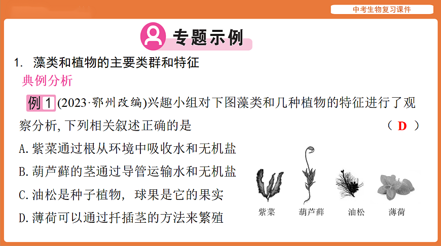 17895475第4页
