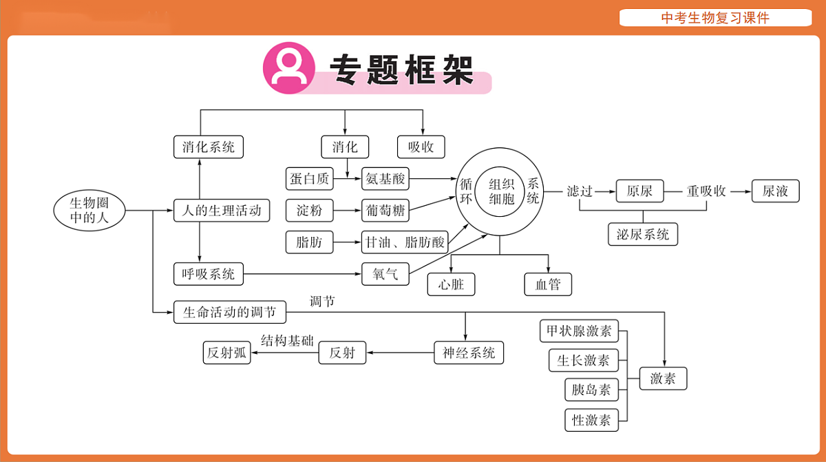 17895476第2页