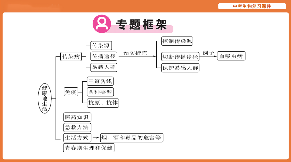 17895476第3页